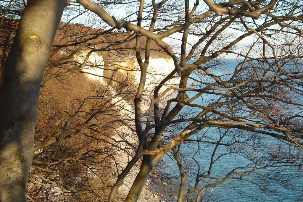 Ferienwohnung In Sassnitz Ruegen Naehe Weltnaturerbe Kreidekueste Exteriér fotografie