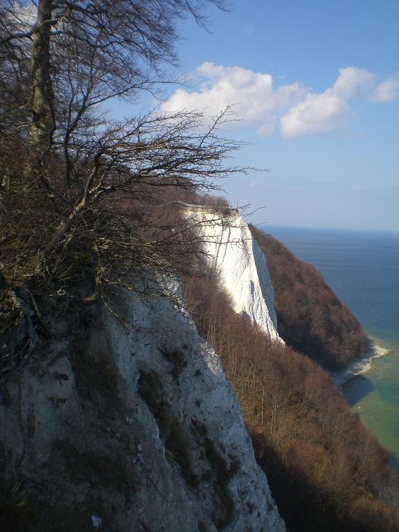 Ferienwohnung In Sassnitz Ruegen Naehe Weltnaturerbe Kreidekueste Exteriér fotografie