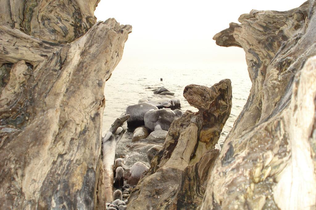 Ferienwohnung In Sassnitz Ruegen Naehe Weltnaturerbe Kreidekueste Exteriér fotografie