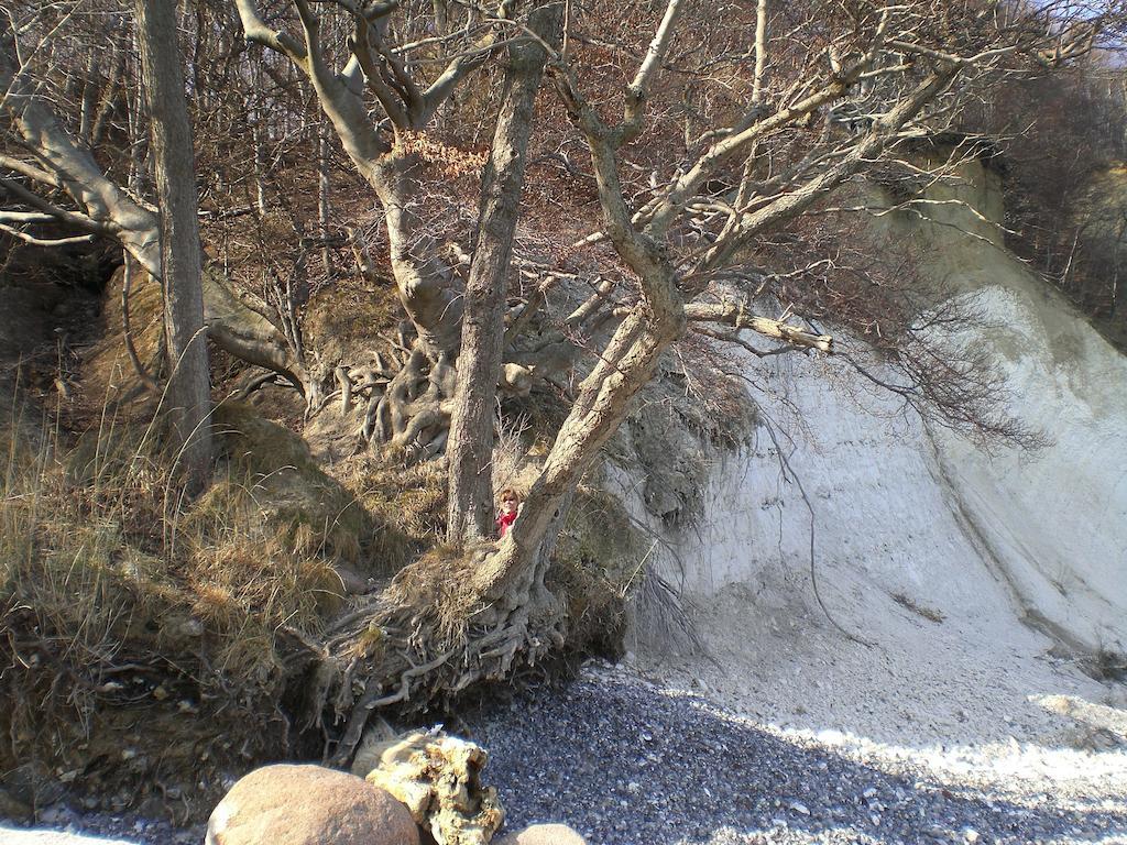 Ferienwohnung In Sassnitz Ruegen Naehe Weltnaturerbe Kreidekueste Exteriér fotografie