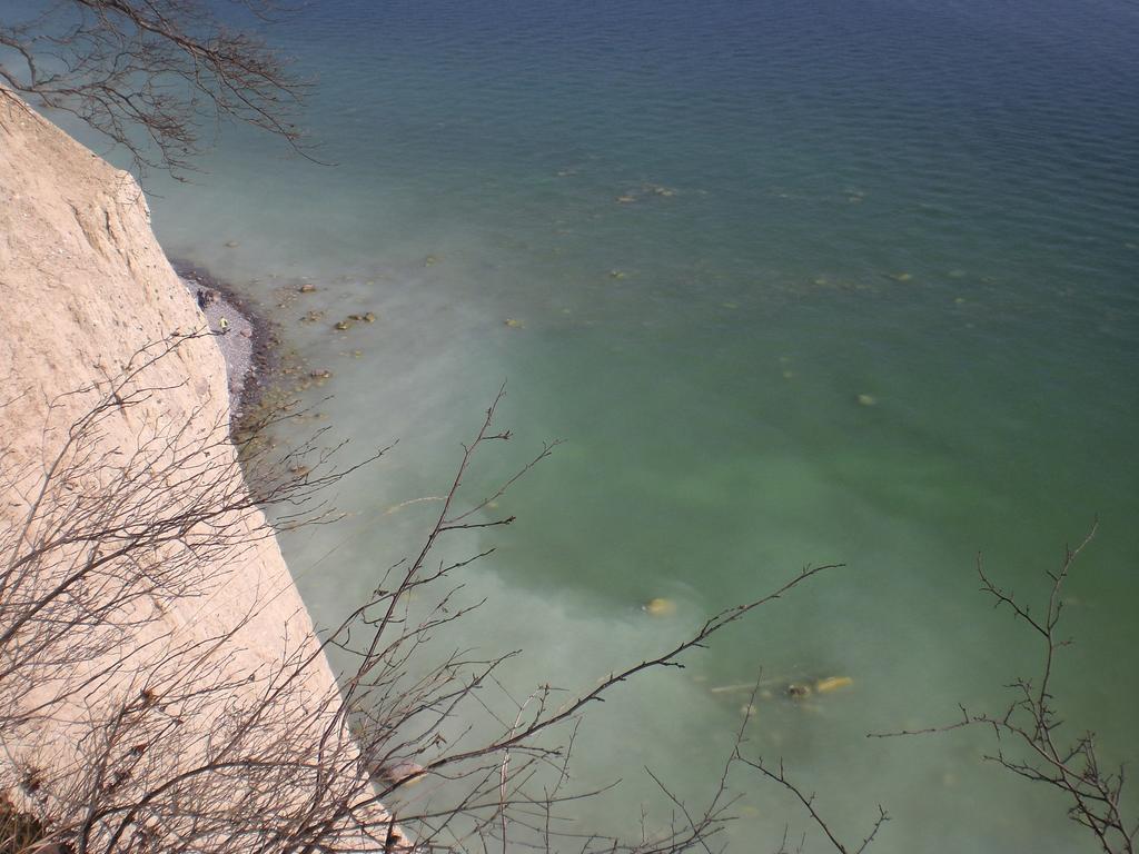 Ferienwohnung In Sassnitz Ruegen Naehe Weltnaturerbe Kreidekueste Exteriér fotografie