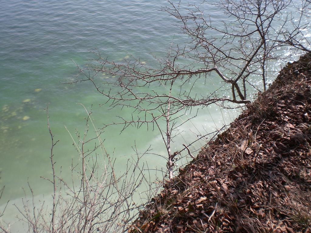 Ferienwohnung In Sassnitz Ruegen Naehe Weltnaturerbe Kreidekueste Exteriér fotografie