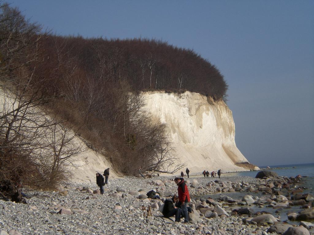 Ferienwohnung In Sassnitz Ruegen Naehe Weltnaturerbe Kreidekueste Exteriér fotografie