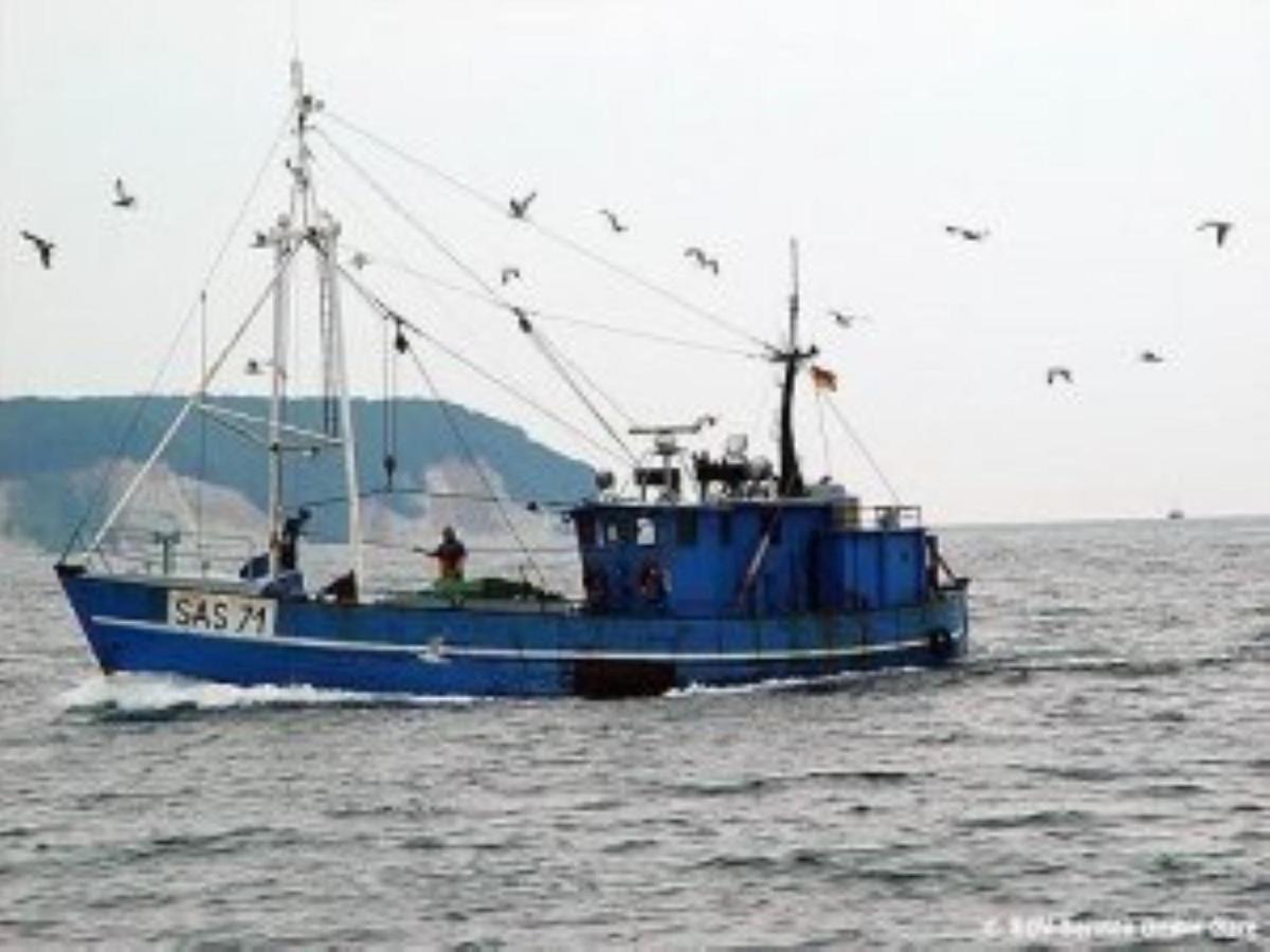 Ferienwohnung In Sassnitz Ruegen Naehe Weltnaturerbe Kreidekueste Exteriér fotografie